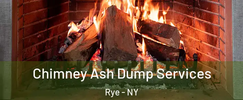  Chimney Ash Dump Services Rye - NY