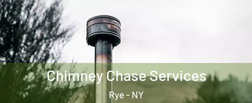  Chimney Chase Services Rye - NY