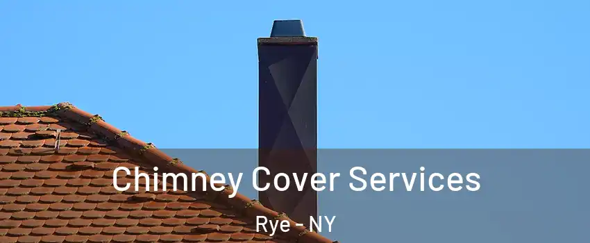 Chimney Cover Services Rye - NY