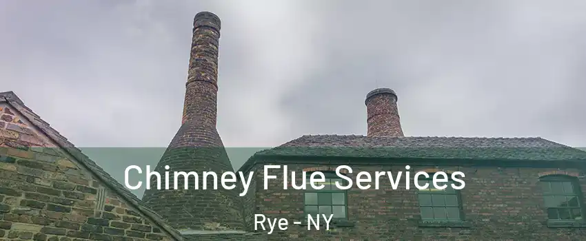  Chimney Flue Services Rye - NY