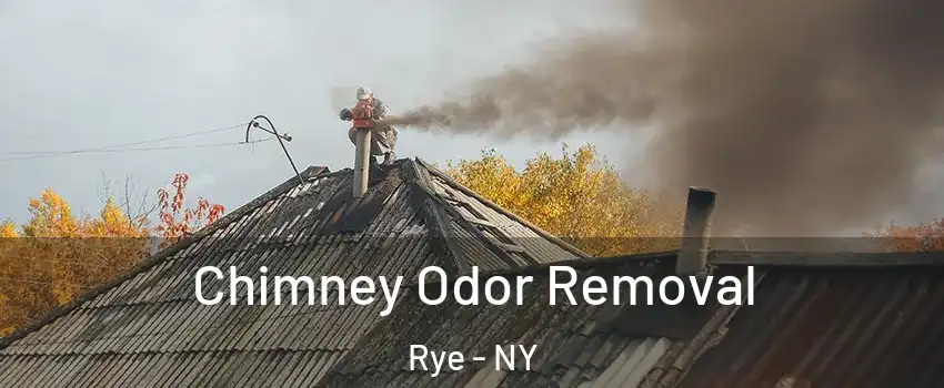  Chimney Odor Removal Rye - NY