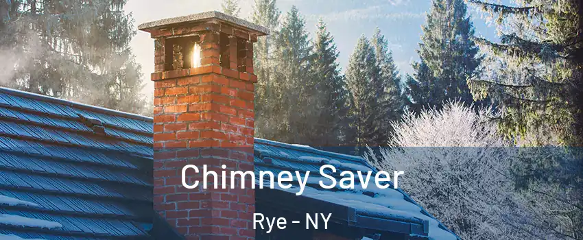  Chimney Saver Rye - NY