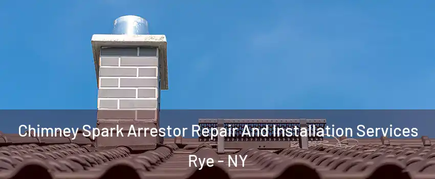  Chimney Spark Arrestor Repair And Installation Services Rye - NY