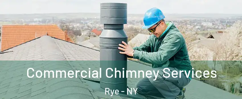 Commercial Chimney Services Rye - NY