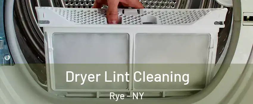  Dryer Lint Cleaning Rye - NY