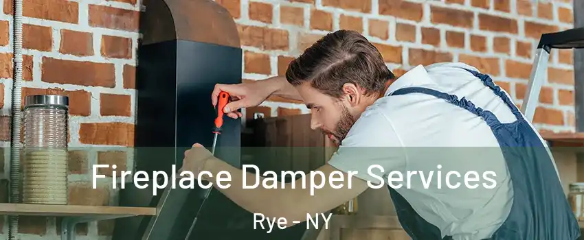  Fireplace Damper Services Rye - NY