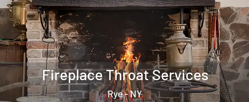  Fireplace Throat Services Rye - NY