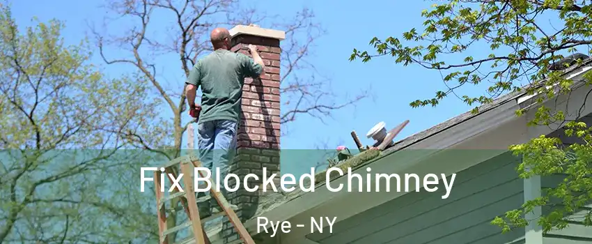  Fix Blocked Chimney Rye - NY