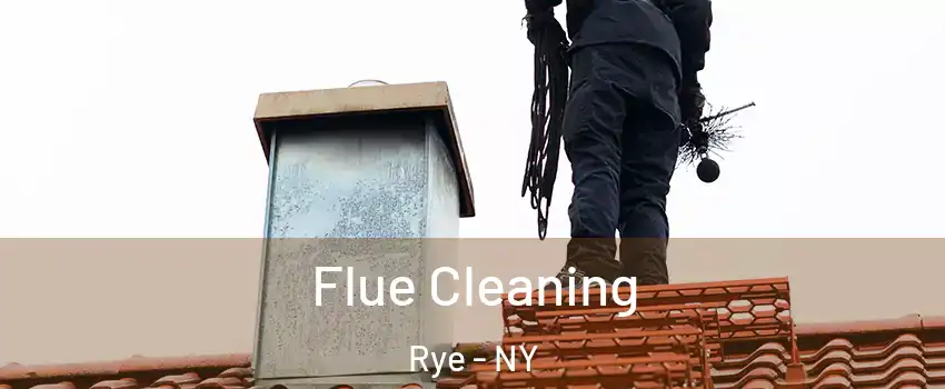  Flue Cleaning Rye - NY