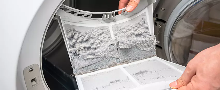 Best Dryer Lint Removal Company in Rye, New York