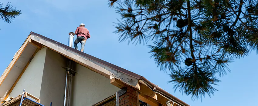 Birds Removal Contractors from Chimney in Rye, NY