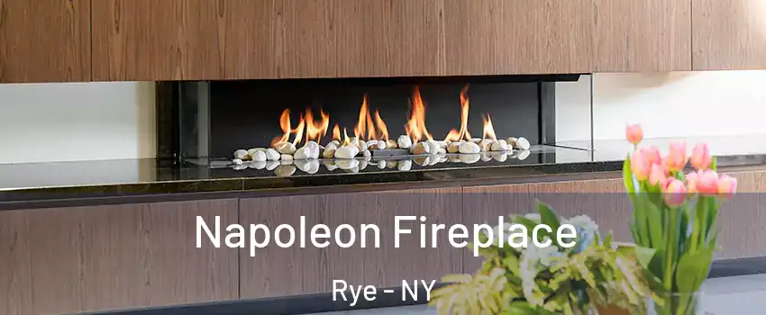  Napoleon Fireplace Rye - NY